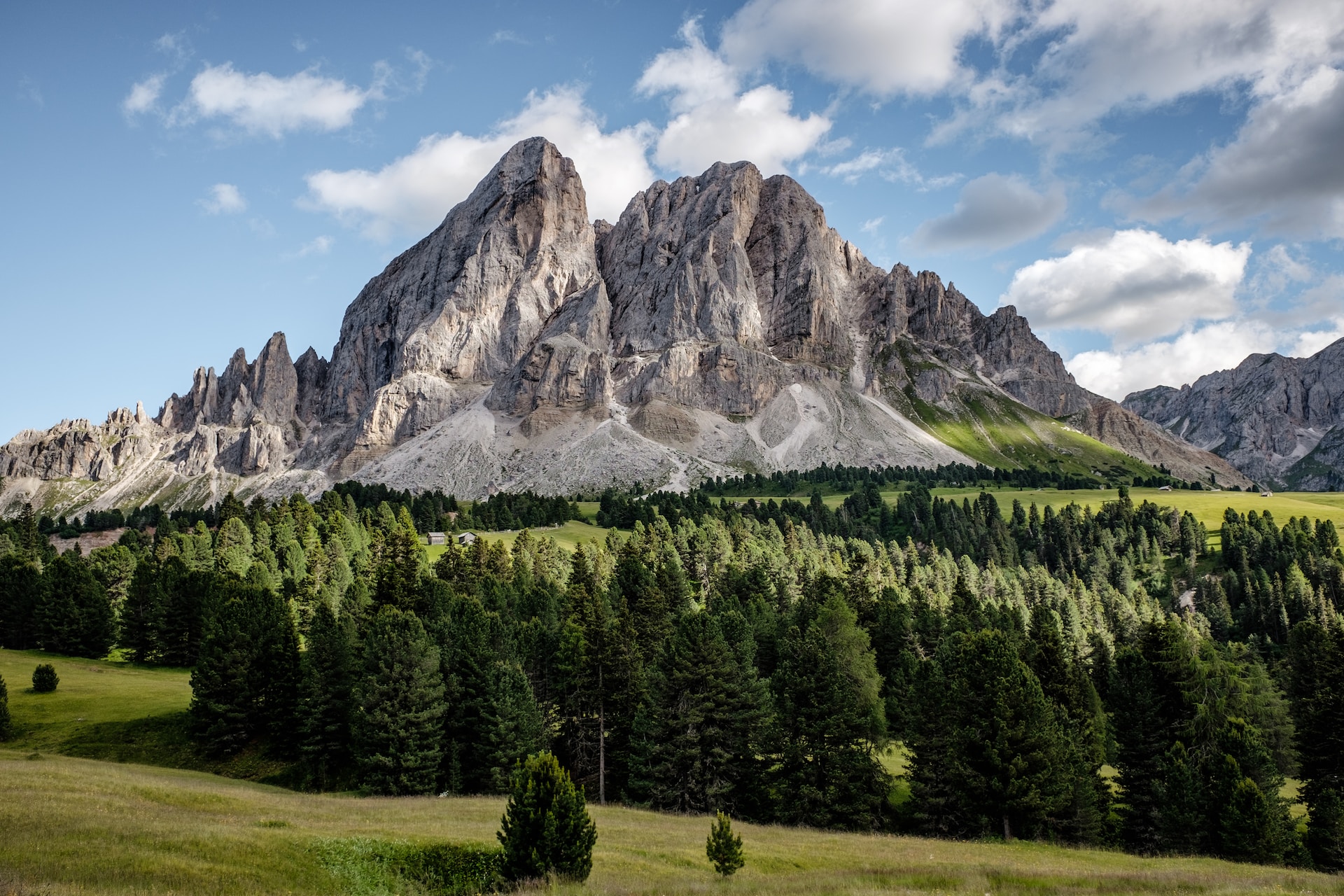 Landscape photo green field with a huge mountain on the back